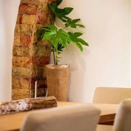 Warm & Cozy - Sando Athens